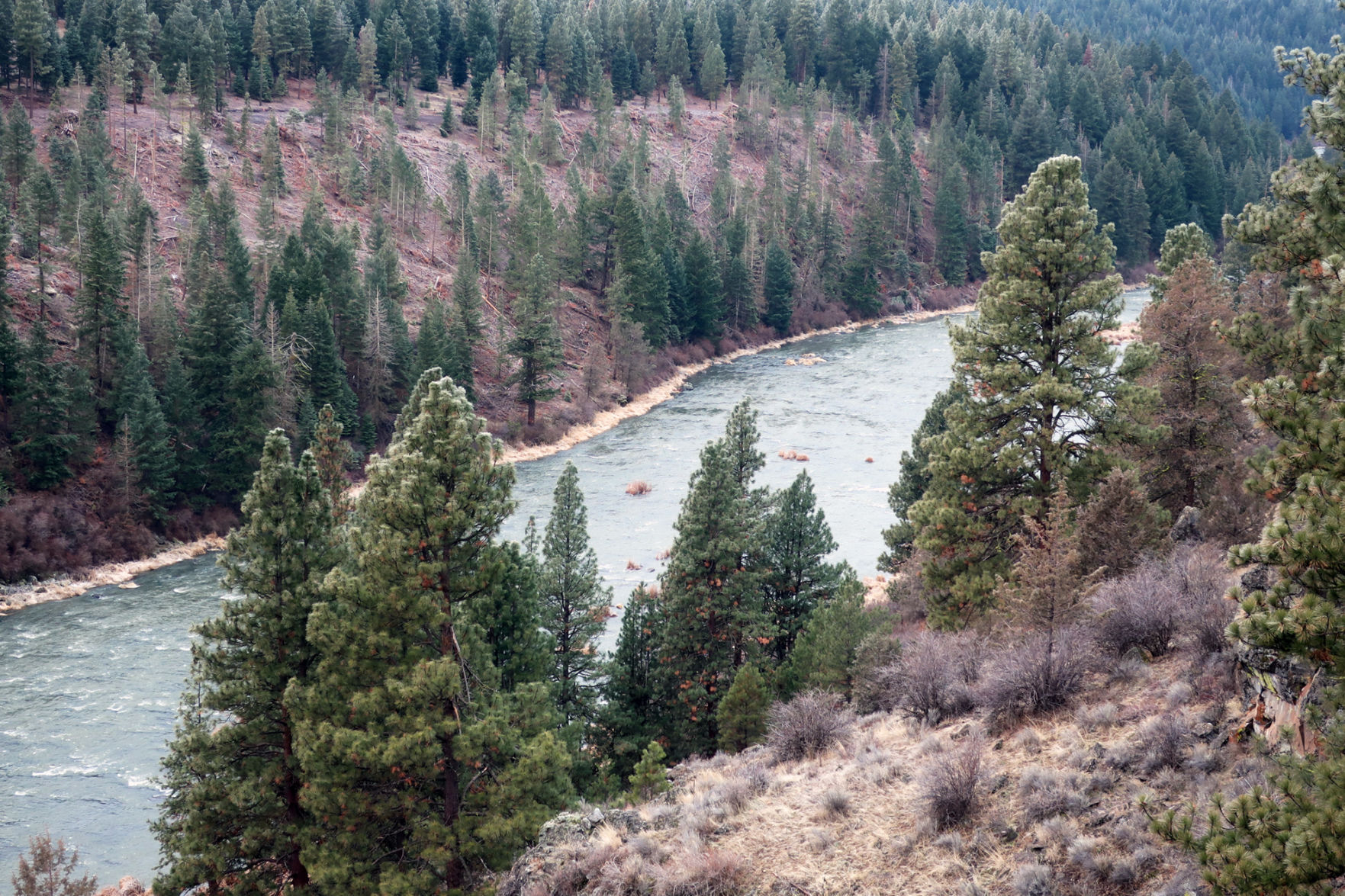 Klamath River view